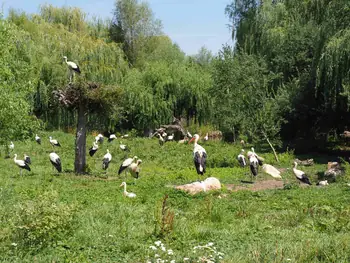 NaturOparC Hunawihr, Alsace (France)